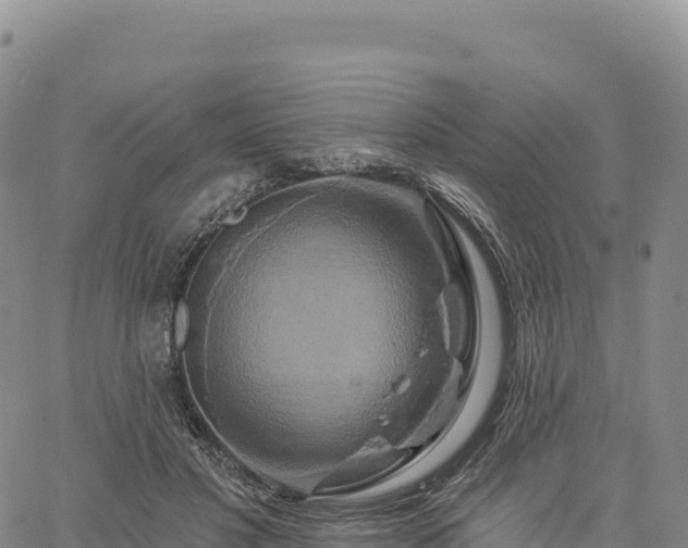 X0000061750501200512091639