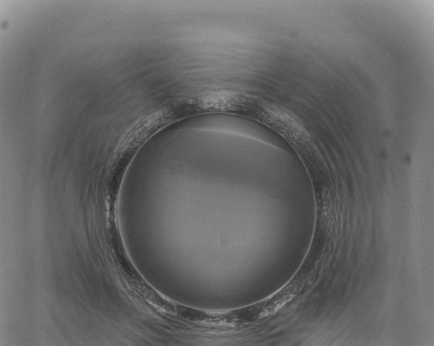 X0000061750502200512091639