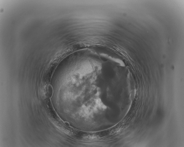 X0000061750503200512091639