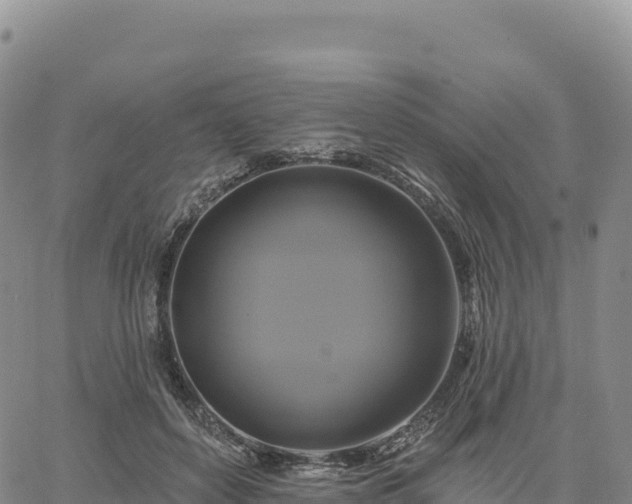 X0000061750504200512091639