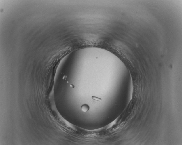 X0000061750505200512091639