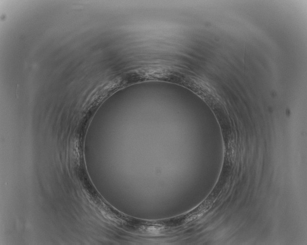 X0000061750506200512091639