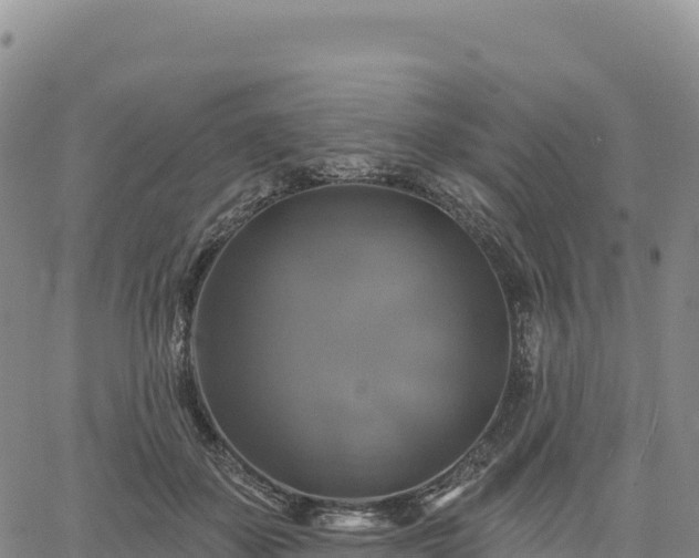 X0000061750507200512091639