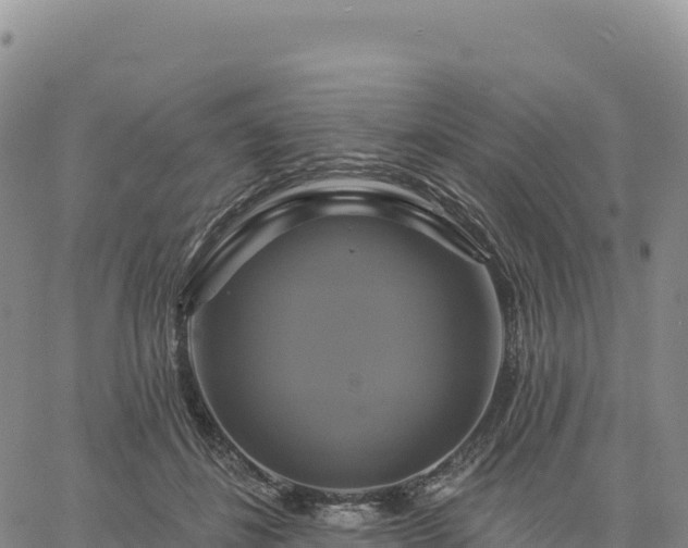 X0000061750508200512091639