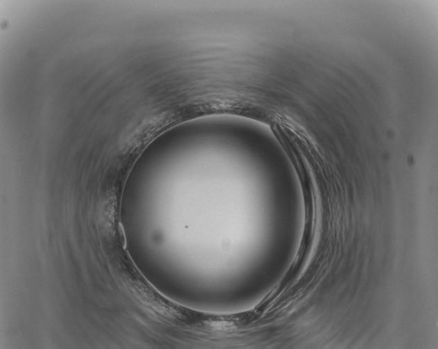 X0000061750509200512091639