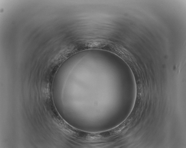 X0000061750510200512091639