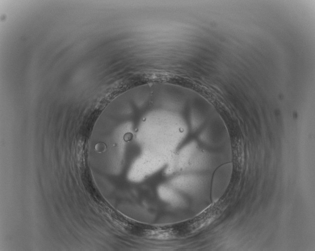 X0000061750511200512091639