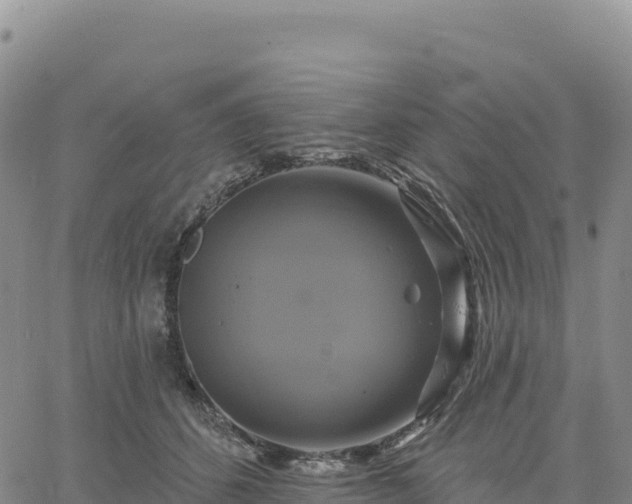 X0000061750512200512091639