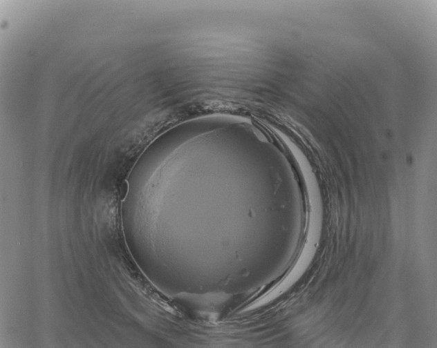 X0000061750513200512091639