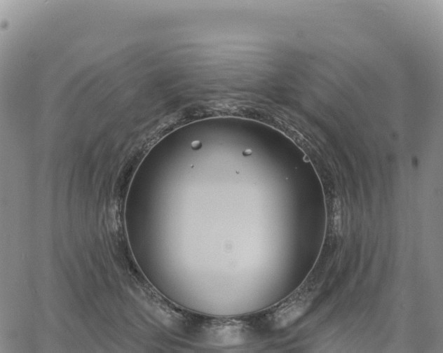 X0000061750514200512091639