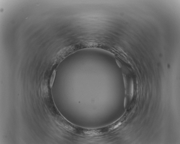 X0000061750516200512091639