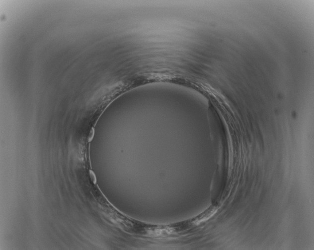 X0000061750517200512091639