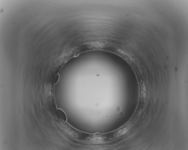 X0000061750518200512091639