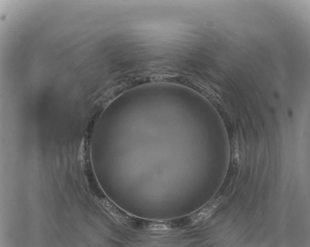 X0000061750519200512091639