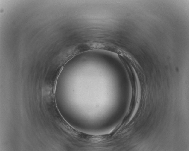 X0000061750521200512091639