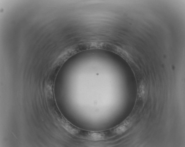 X0000061750522200512091639