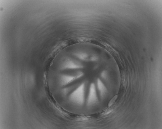 X0000061750523200512091639