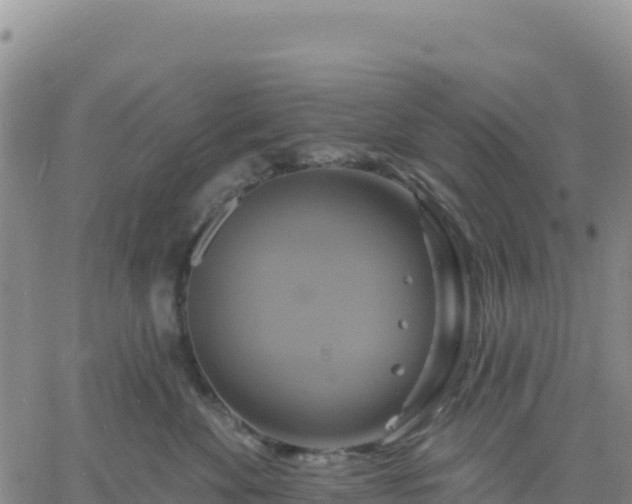 X0000061750524200512091639