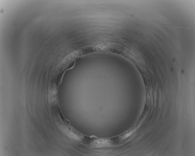 X0000061750526200512091639