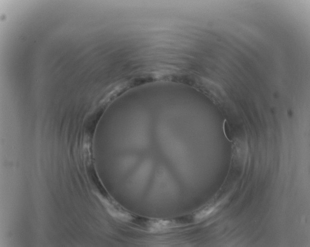 X0000061750527200512091639