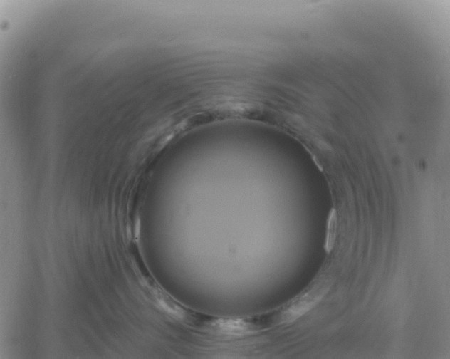 X0000061750528200512091639