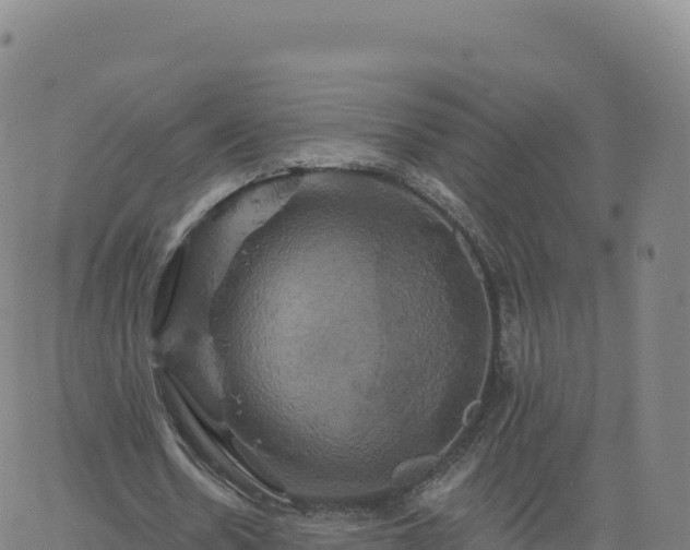 X0000061750530200512091638