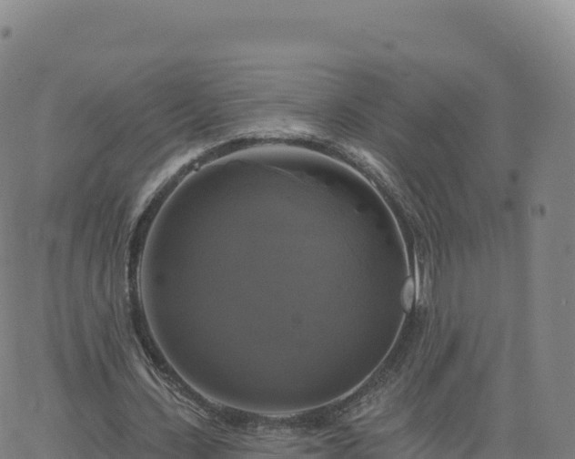 X0000061750531200512091638