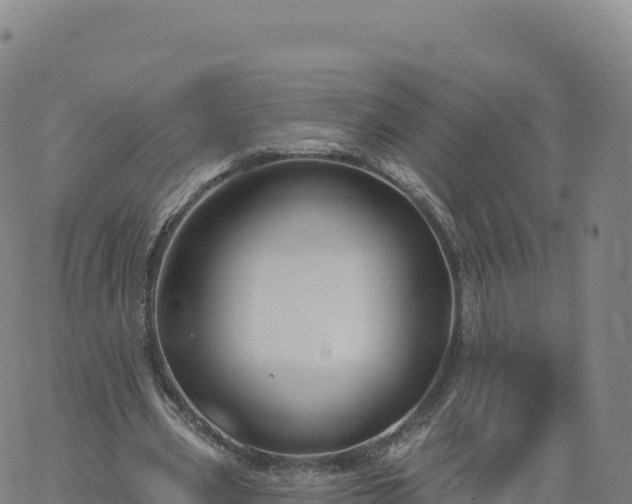 X0000061750533200512091638