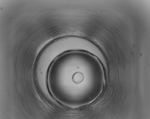 X0000061750536200512091638