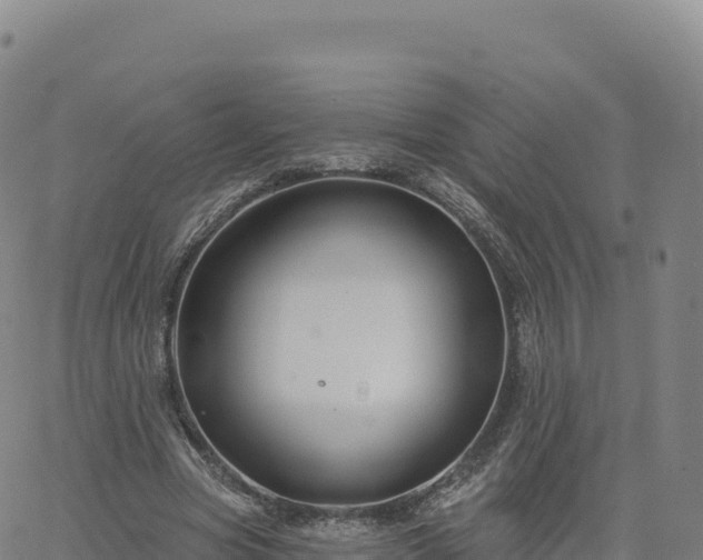 X0000061750537200512091638