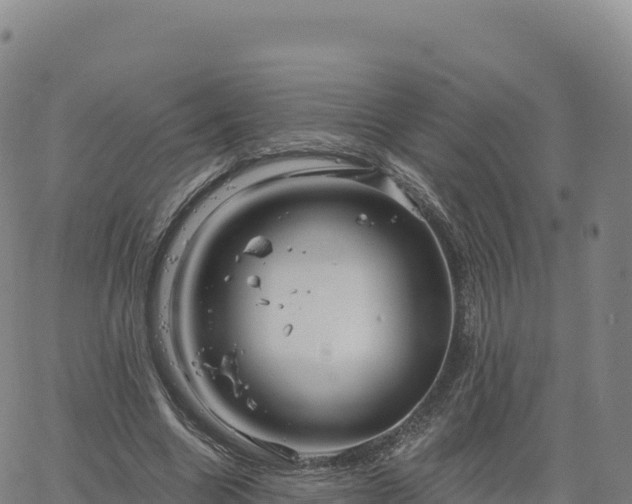 X0000061750538200512091638