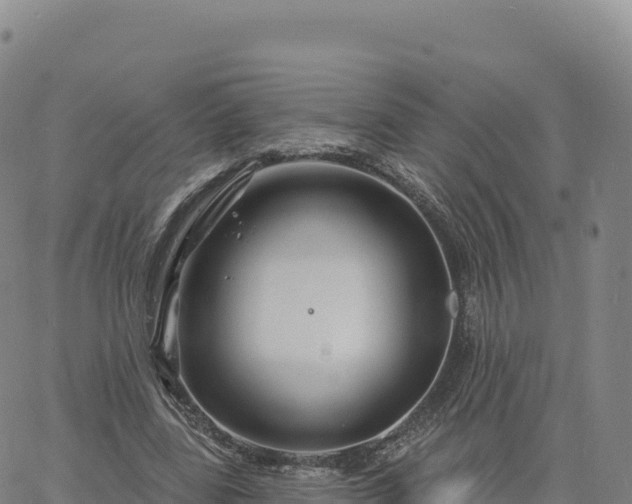 X0000061750539200512091638