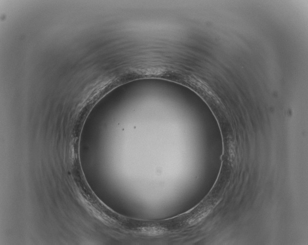 X0000061750541200512091638