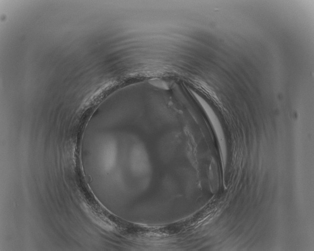 X0000061750542200512091638