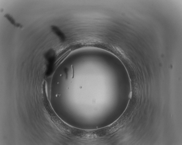 X0000061750543200512091638