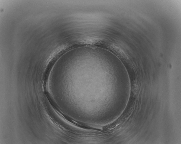 X0000061750544200512091638