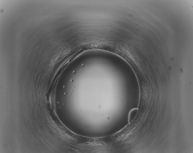 X0000061750545200512091638