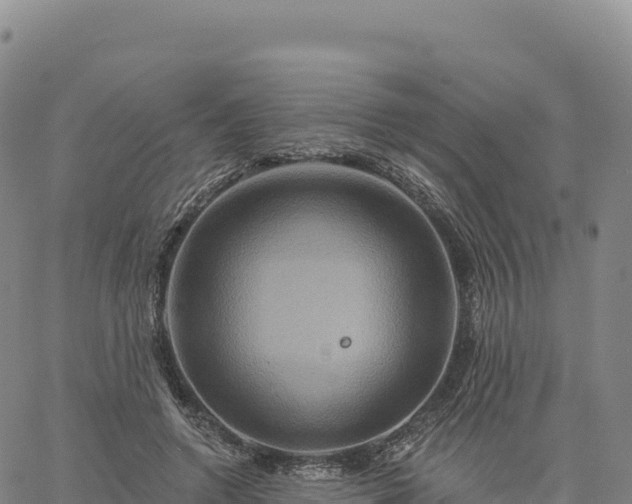 X0000061750546200512091638