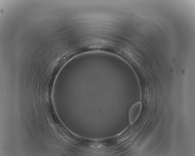 X0000061750547200512091638