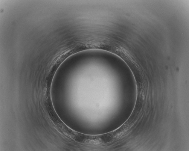 X0000061750548200512091638