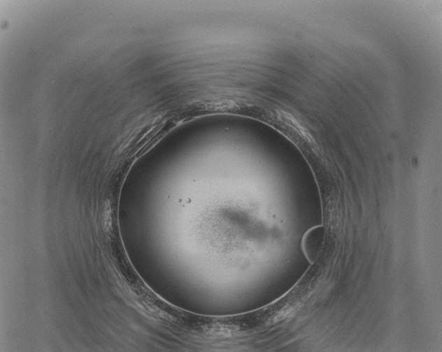 X0000061750549200512091638