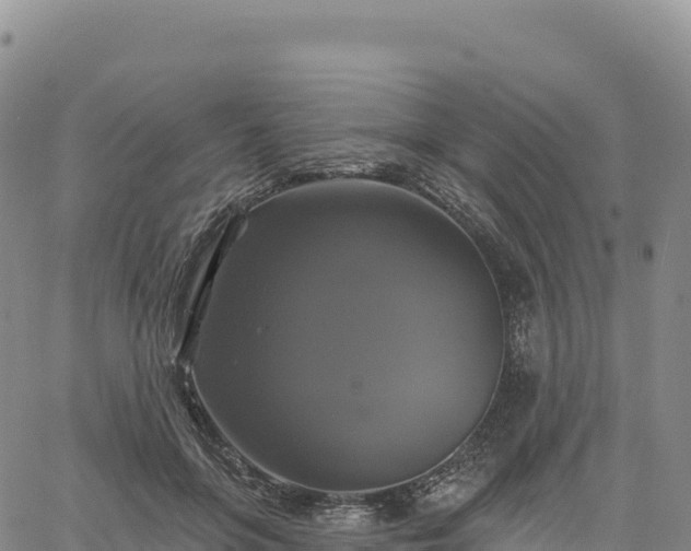 X0000061750551200512091638