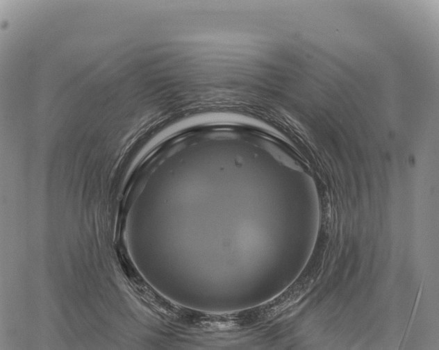 X0000061750552200512091638