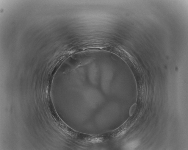 X0000061750553200512091638