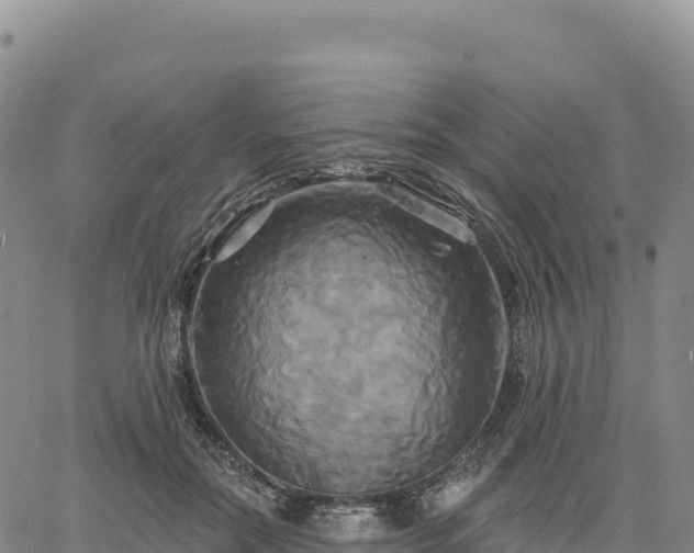 X0000061750554200512091638