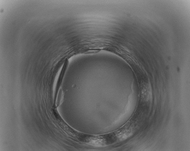 X0000061750555200512091638