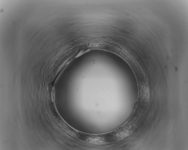 X0000061750557200512091638