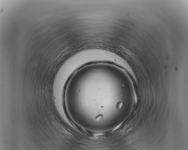 X0000061750558200512091638