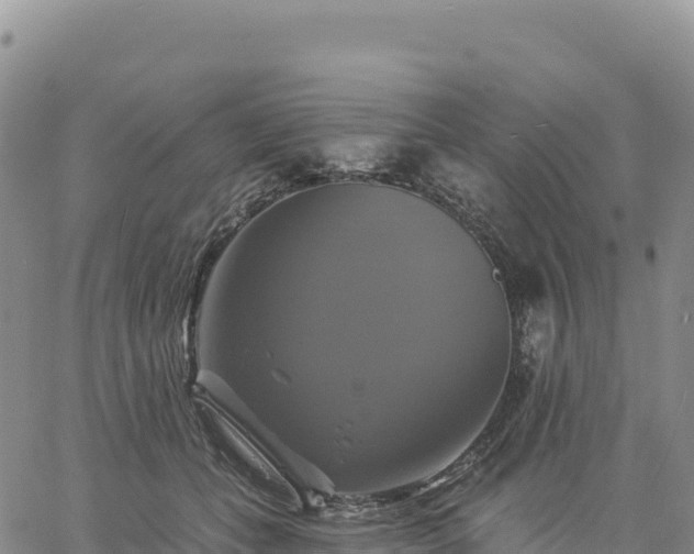 X0000061750559200512091638