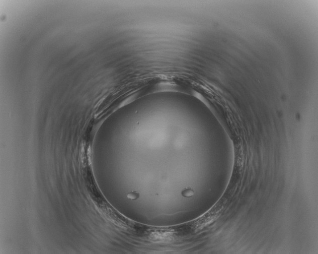 X0000061750560200512091638